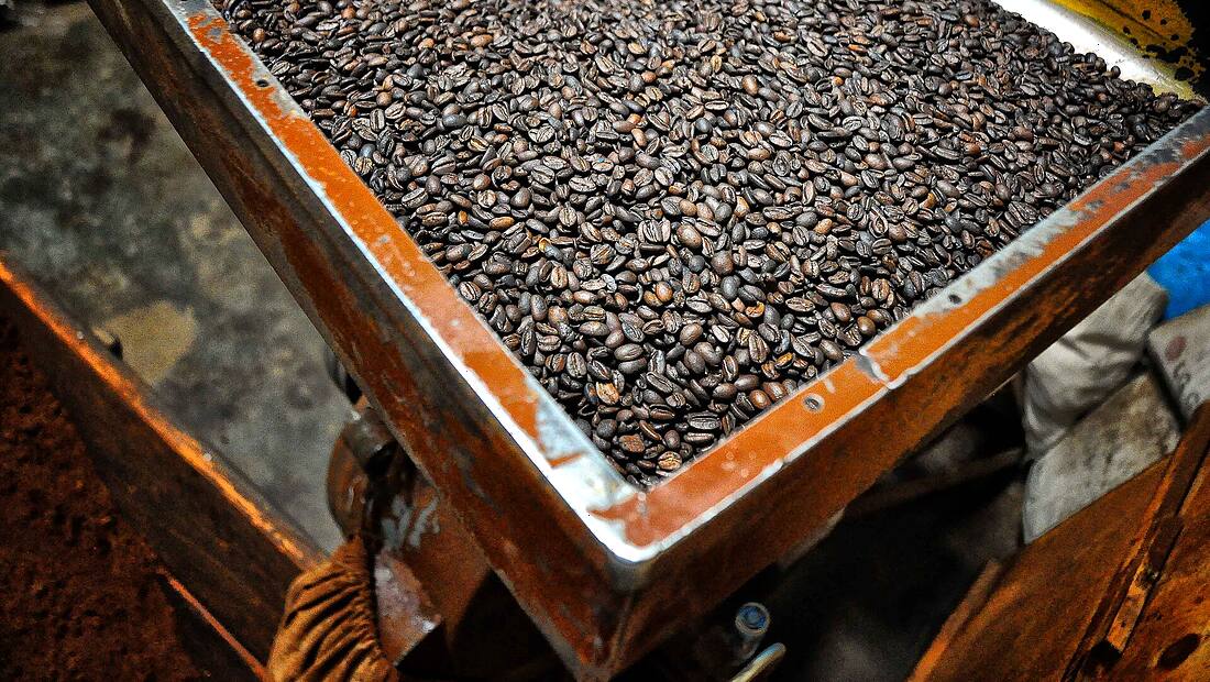 Assemblage maison — région d'origine du café Mélange Créole